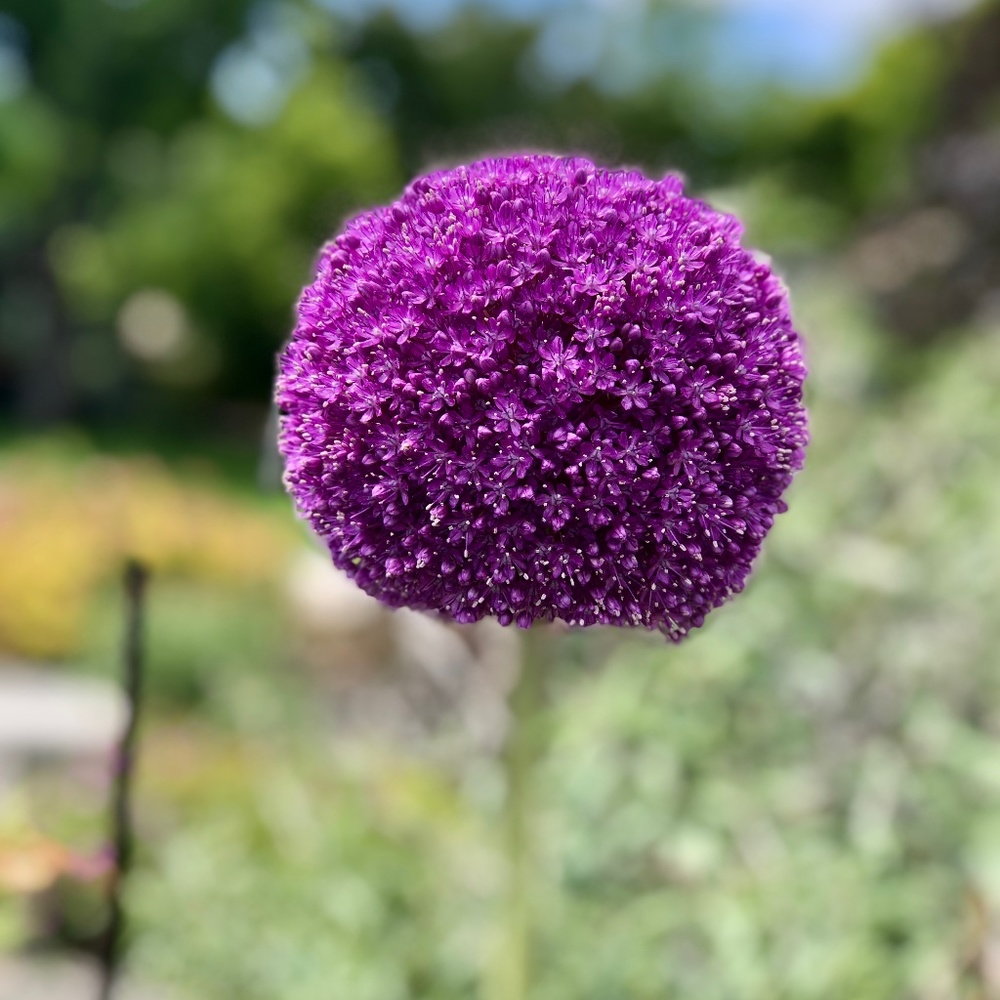 Meet your Posher, Tatyana